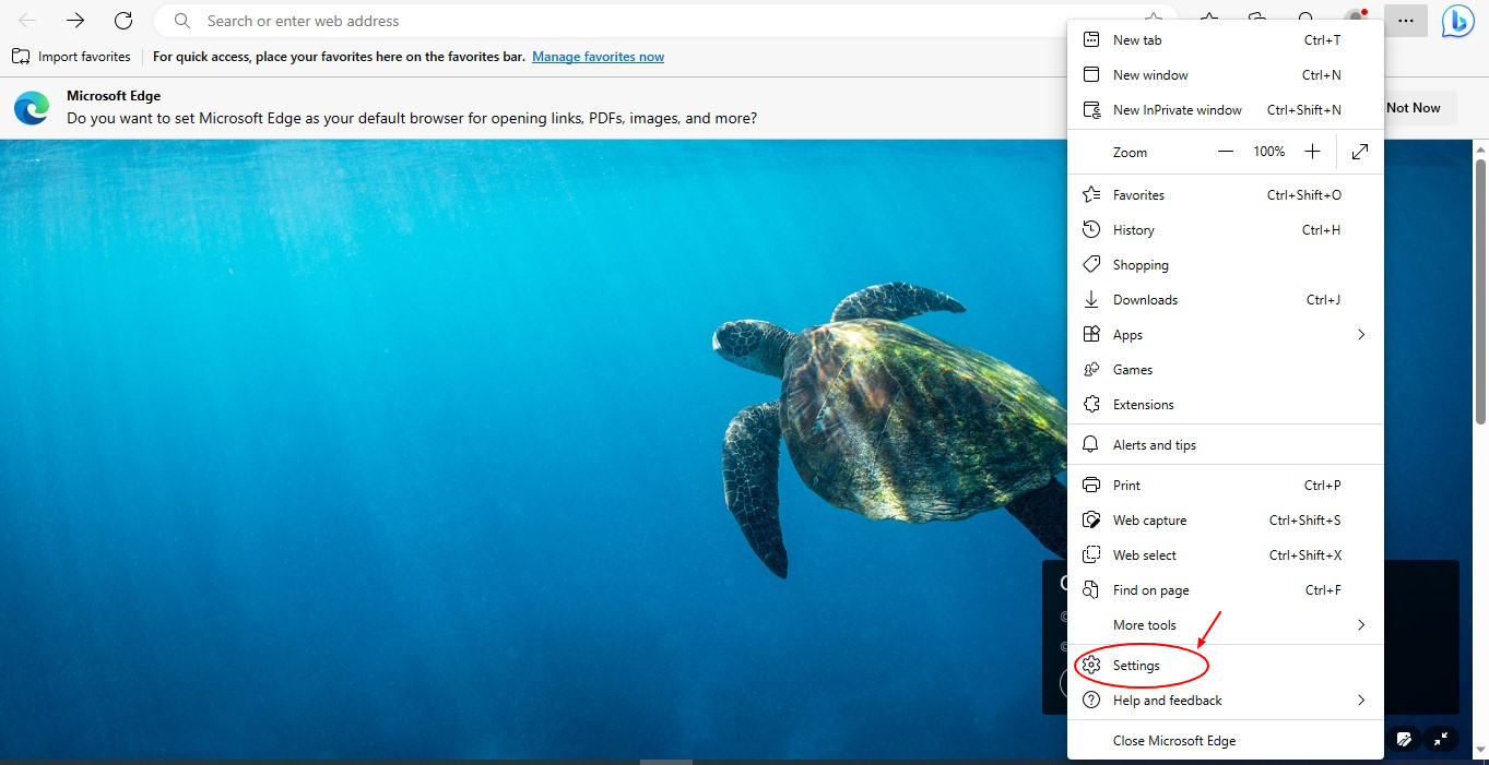 How to enable protected content on Edge for Windows? Video Hosting